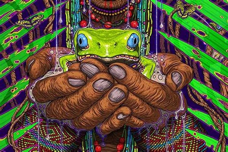 Vibrant Kambo frog artwork — sacred Amazonian healing medicine