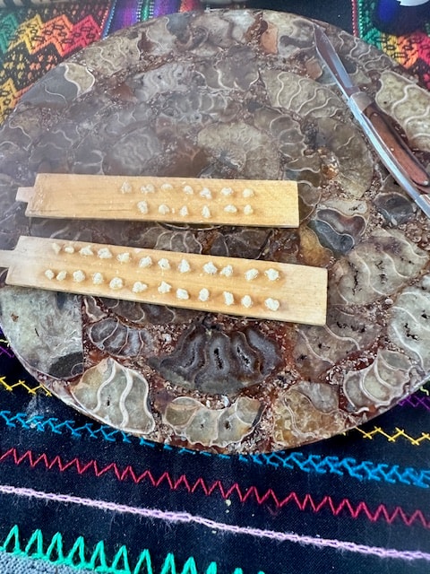 Kambo dots prepared and ready to serve on a ceremonial surface