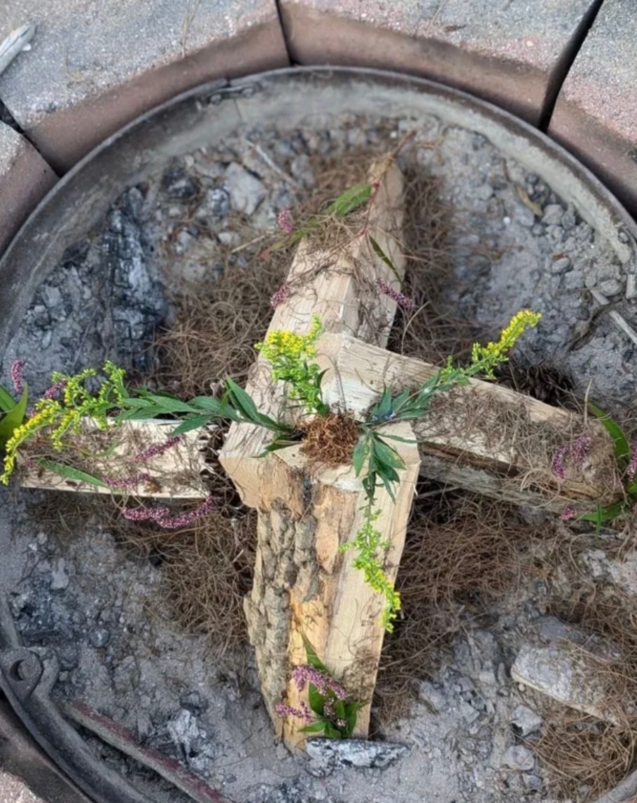 Plant in a concrete pot — sacred plant medicine