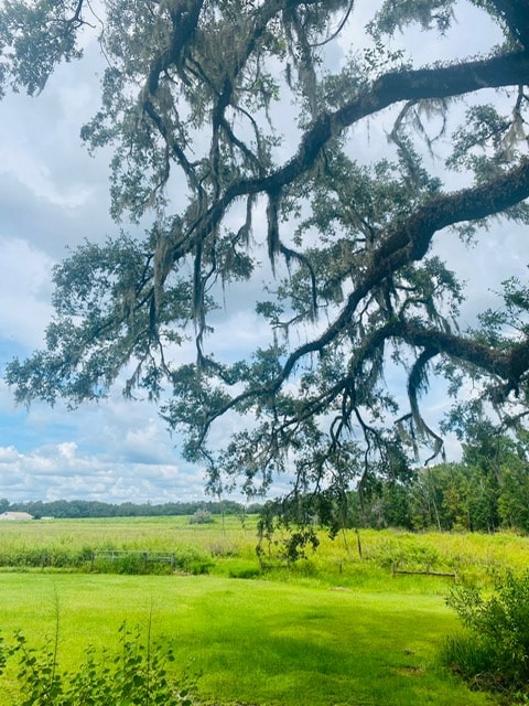 Large oak tree with Spanish moss in a wide open green field under a cloudy sky