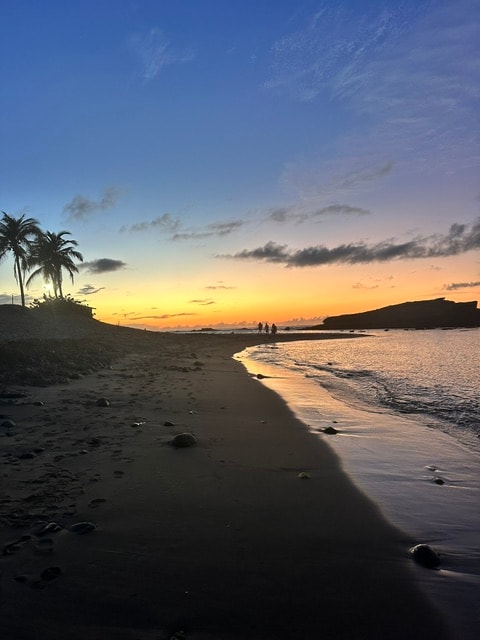 Tropical beach sunset with palm tree silhouettes and calm ocean waves