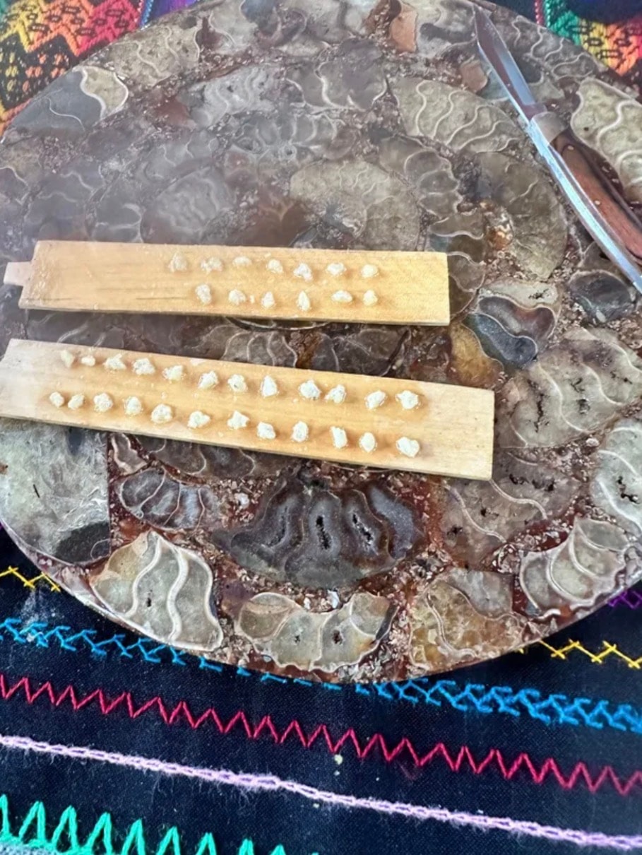 Kambo dots prepared and ready to serve on wooden sticks over a decorative plate